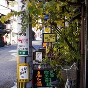郡上八幡まち歩き